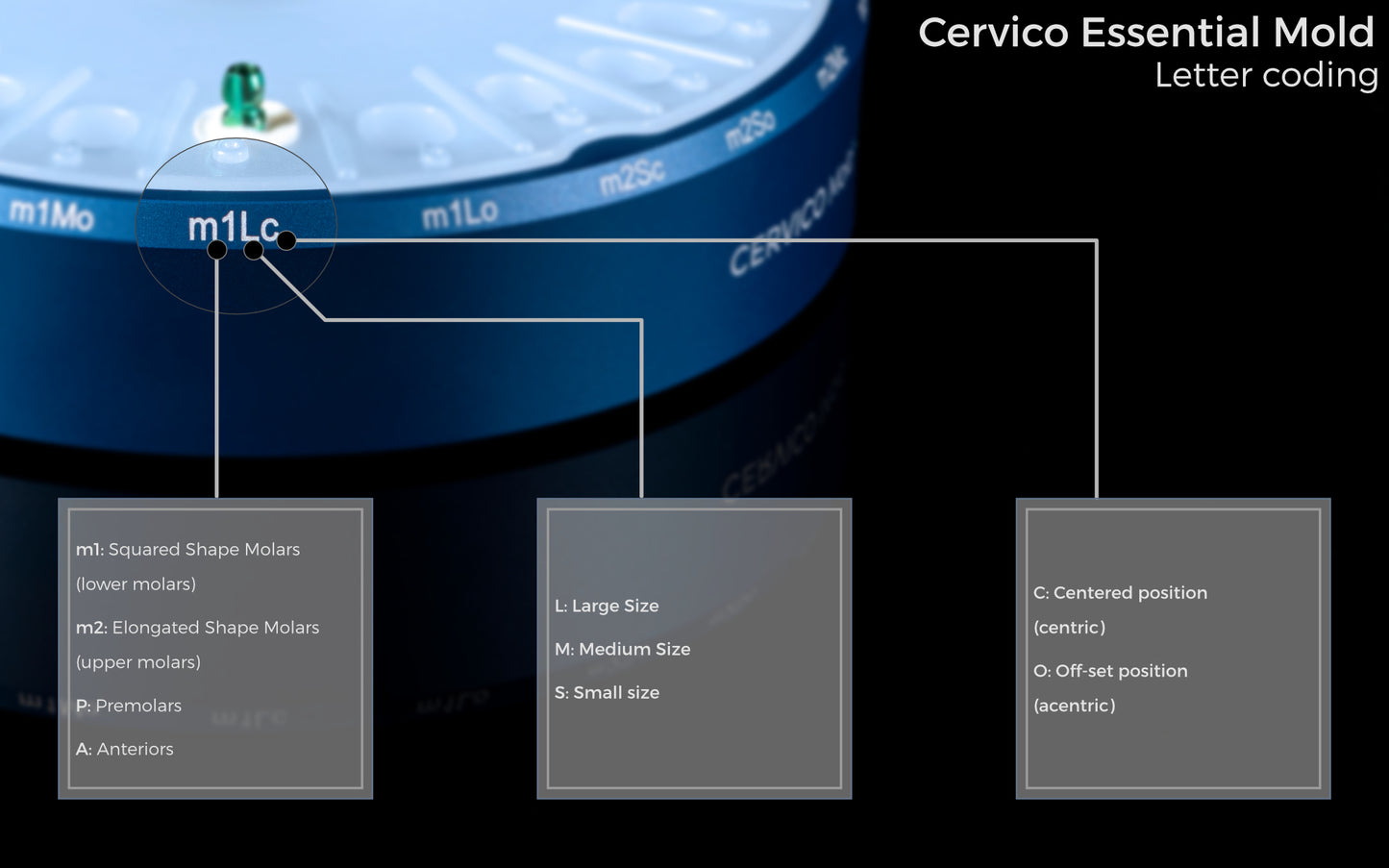 CERVICO Essential Mold