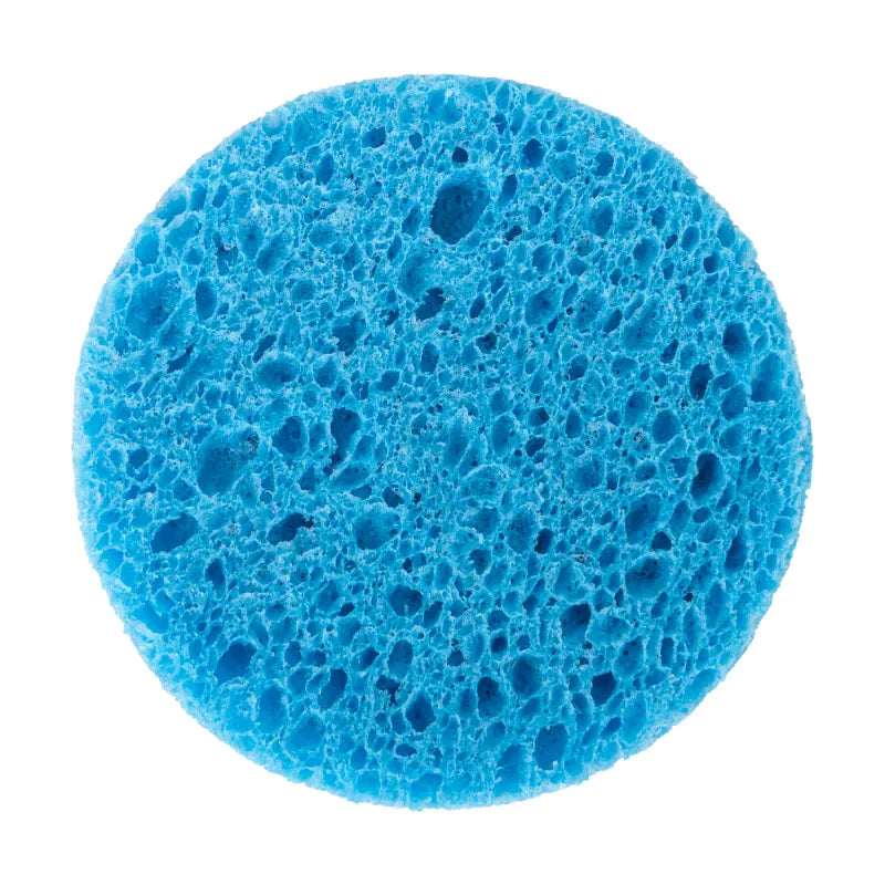 Accessories For Evolution Master Ceramic Palette, Evolution Replacement Sponge